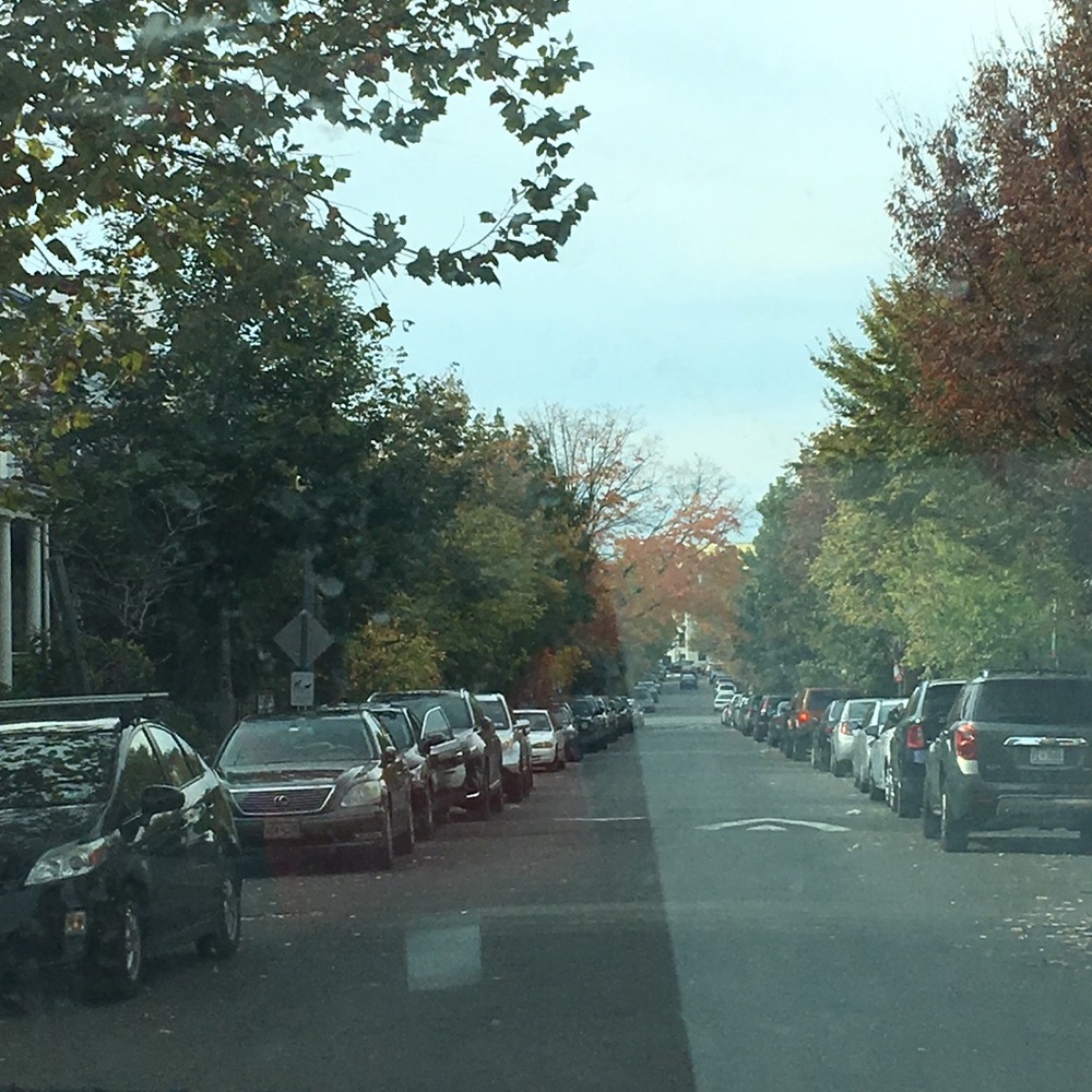 Meet your Posher, Mckayla